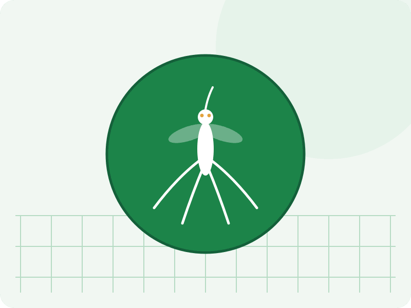 Aedes aegypti (transmissor de dengue, zika e chikungunya) e Culex quinquefasciatus (pernilongo comum) — identificação de mosquitos, praga comum em imóveis de São Paulo