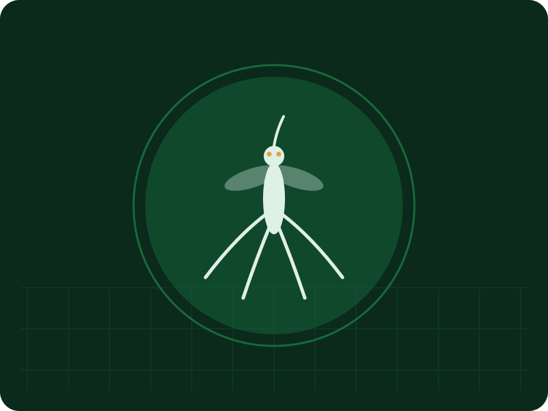Dedetização de mosquitos em São Paulo — ilustração de mosquitos tratada pela Doctor Insect