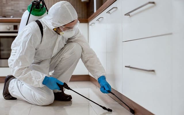 Técnico com equipamento de proteção aplicando produto no rodapé de uma cozinha