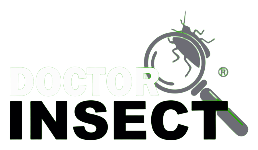 Doctor Insect